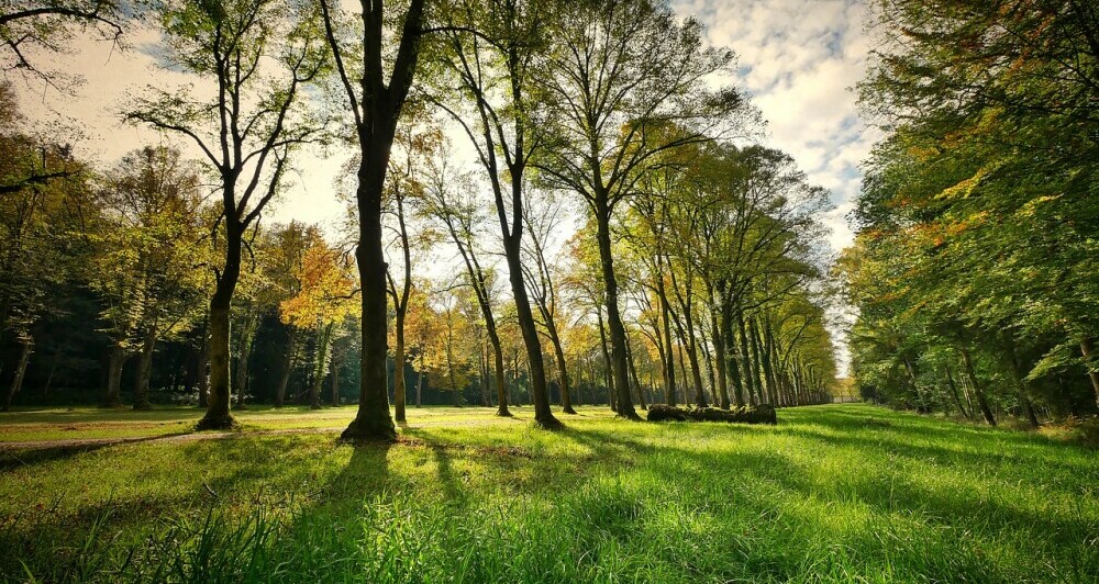 Local park and nature reserve