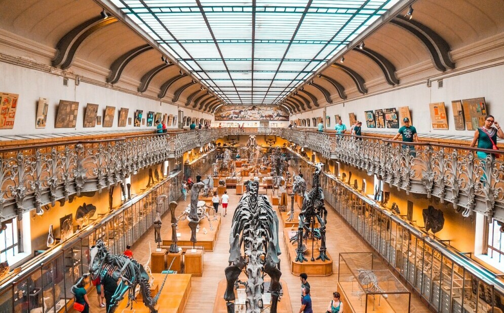 Museum